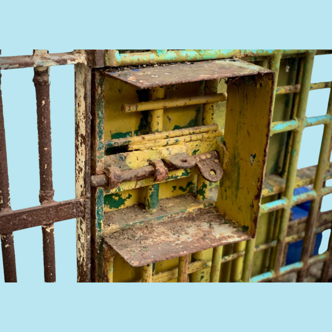 Design sem nome - 2025-10-04T185844.368