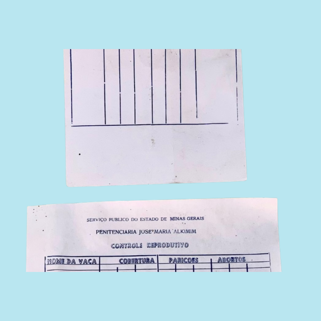 Design sem nome - 2025-10-04T193116.879