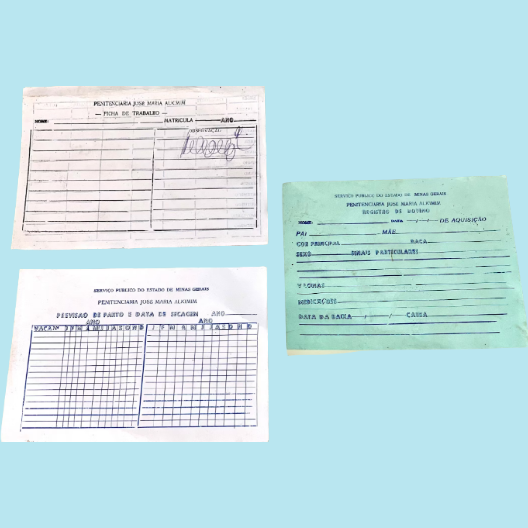 Design sem nome - 2025-10-04T193125.063